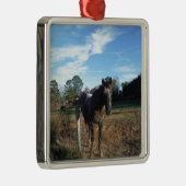 ココとクリームブラウン メタルオーナメント (右)