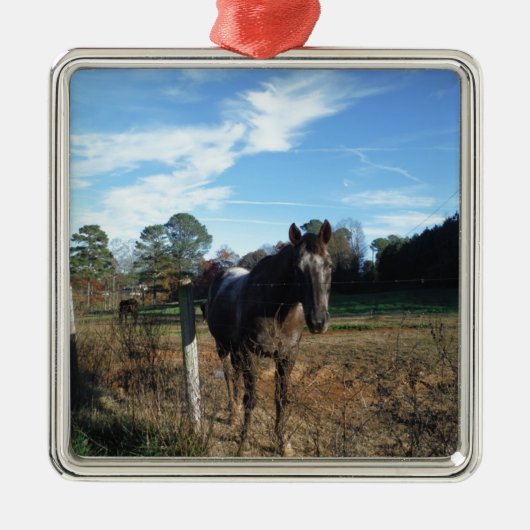 ココとクリームブラウン メタルオーナメント (正面)