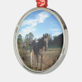 ココとクリームブラウン メタルオーナメント (左)