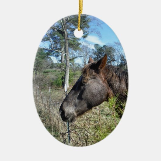 ココとクリーム色の馬 セラミックオーナメント (正面)