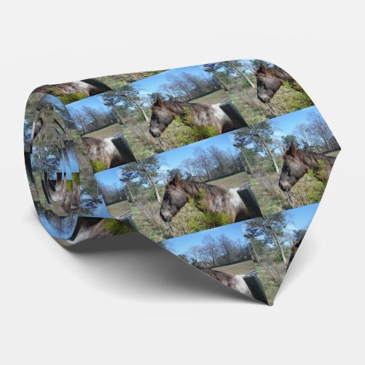 ココとクリーム色の馬 ネクタイ (ロール)