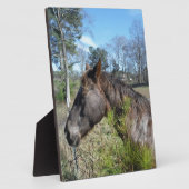 ココとクリーム色の馬 フォトプラーク (側面)