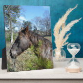 ココとクリーム色の馬 フォトプラーク (側面)