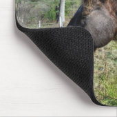 ココとクリーム色の馬 マウスパッド (コーナー)