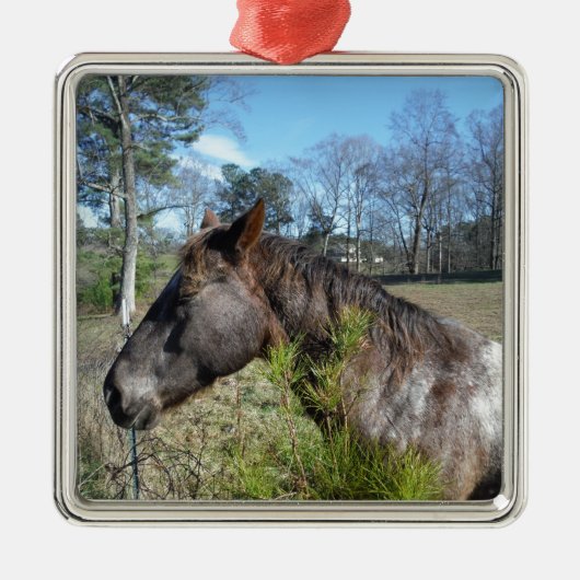 ココとクリーム色の馬 メタルオーナメント (正面)