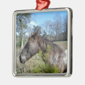 ココとクリーム色の馬 メタルオーナメント (左)