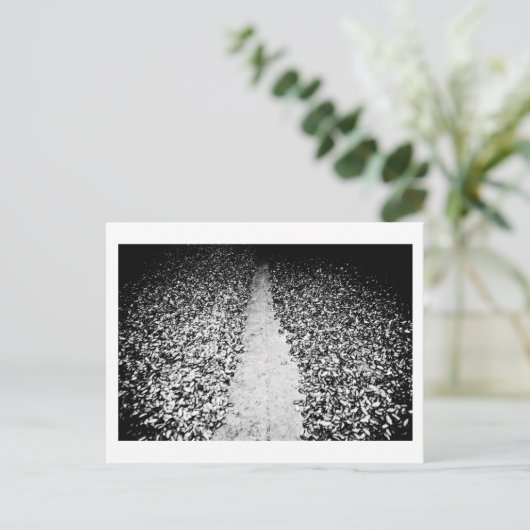 ココアの両面 ポストカード (スタンド正面)