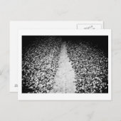 ココアの両面 ポストカード (正面/裏面)