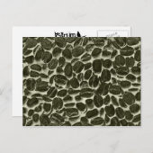 ココアコーヒー豆 ポストカード (正面/裏面)