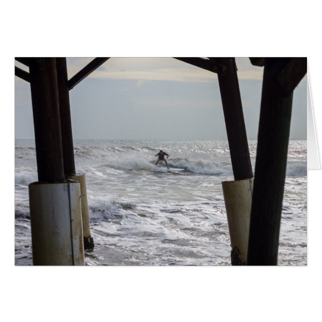 ココアサーフィン (正面横)