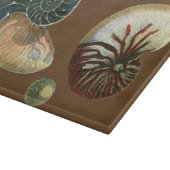 ココアシェル カッティングボード (角)