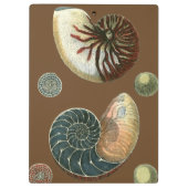 ココアシェル クリップボード (裏面)