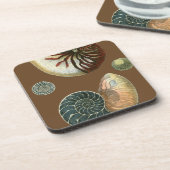 ココアシェル コースター (左側)