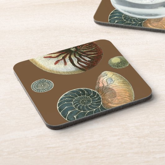 ココアシェル コースター (左側)