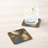 ココアシェル コースター (右側)