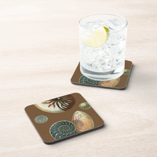 ココアシェル コースター (右側)