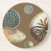 ココアシェル コースター (正面)