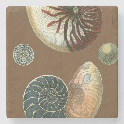 ココアシェル ストーンコースター (正面)