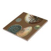 ココアシェル タイル (側面)