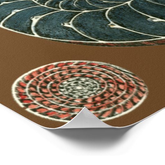 ココアシェル ポスター (角)