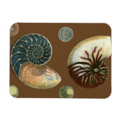 ココアシェル マグネット (横)