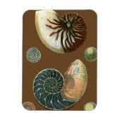 ココアシェル マグネット (縦)