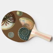 ココアシェル 卓球ラケット (横)