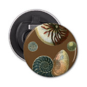 ココアシェル 栓抜き (正面)