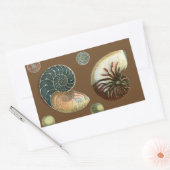 ココアシェル 長方形シール (封筒)