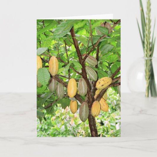 ココアツリー カード (正面)