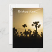 ココアパームシルエット ポストカード (正面/裏面)