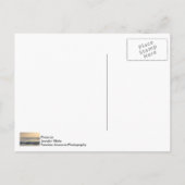 ココアビーチパドルボード ポストカード (裏面)