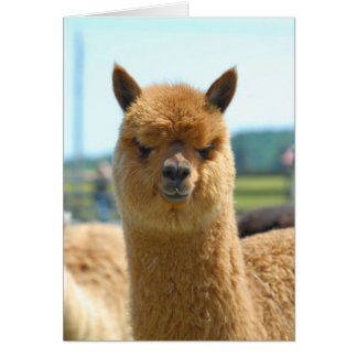 ココアブラウン