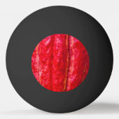 ココアポッドの赤 卓球ボール (裏面)