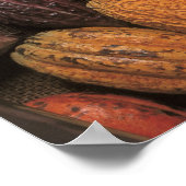 ココアポッド ポスター (角)