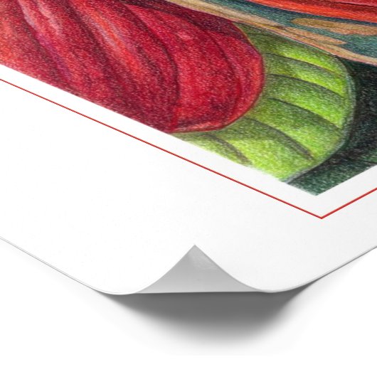 ココアポッド ポスター (角)