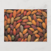 ココアポッド ポストカード (正面)