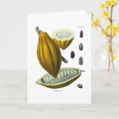 ココア豆ヴィンテージイラストレーションカード カード (黄色い花)