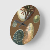 ココア貝 ラウンド壁時計 (傾斜)