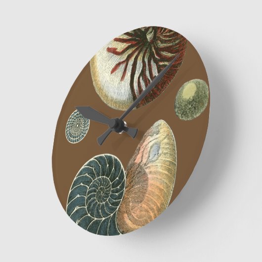 ココア貝 ラウンド壁時計 (傾斜)