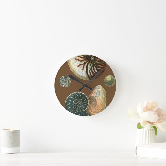 ココア貝 ラウンド壁時計 (ホーム)