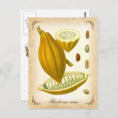 ココア – ヴィンテージイラストレーション ポストカード (正面/裏面)