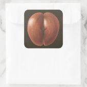 ココデメルモルディブ2012 スクエアシール (バッグ)