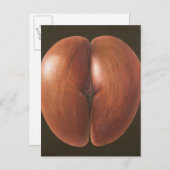 ココデメルモルディブ2012 ポストカード (正面/裏面)