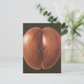 ココデメルモルディブ2012 ポストカード (スタンド正面)