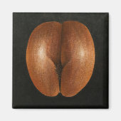 ココデメール2010 マグネット (正面)