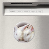 ココナッツとレスキュー霜の降りたバンス マグネット (インサイチュ (食洗機))