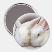 ココナッツとレスキュー霜の降りたバンス マグネット (正面/裏面)