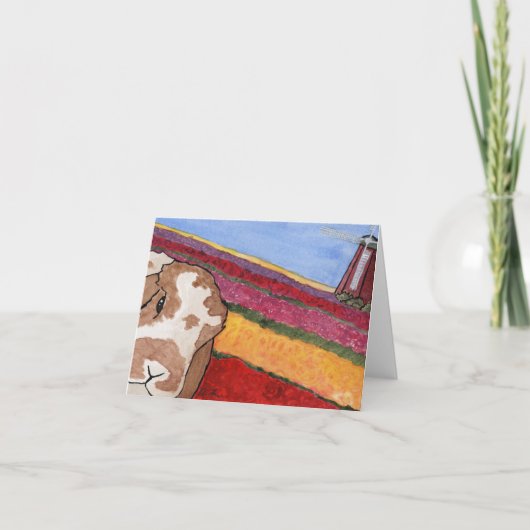 ココナッツの冒険: 5月グリーティングカード4"x5.6" シーズンカード (正面)