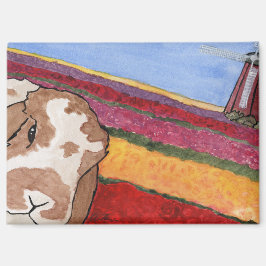 ココナッツの冒険： 5月マグネット3.5"x2.5" マグネット